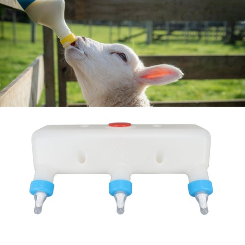 Lamb feeder with nipples 3l - nipples,