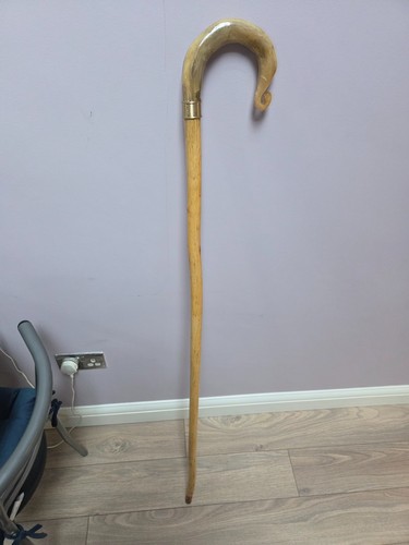 Shepherds crook walking - walking, stick
