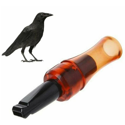 Crow rook call - crow, whistle
