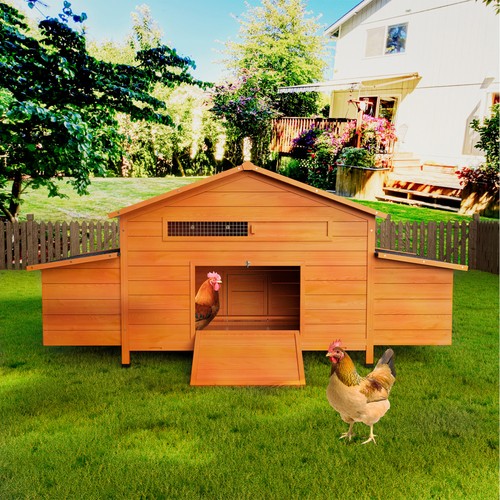 Large wooden chicken - 70＂large,