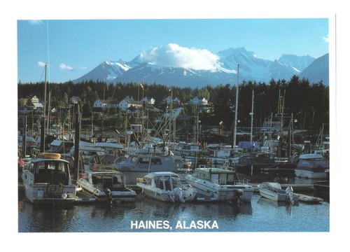 Postcard 4x6 alaska haines - postcard,