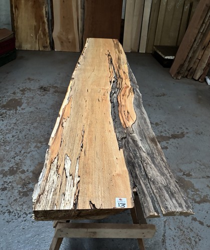 Spalted beech 50mm - spalted,