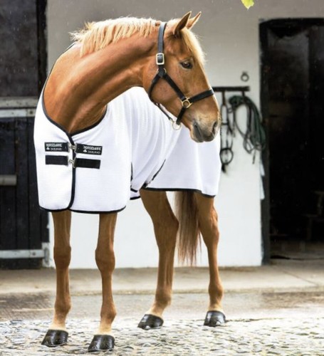Horseware rambo techni - horseware,