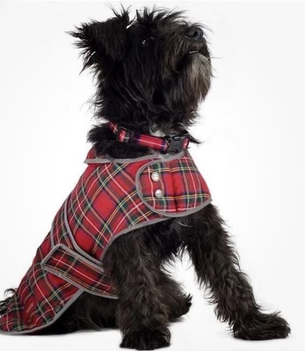 Ancol muddy paws highland dog - ancol,
