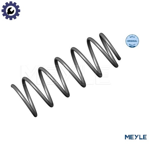 Suspension spring 100 - spring, 0002