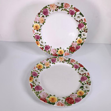 Vintage Portmeirion Rose Bouquet Plate 27.5cm Set Of 2 Dinner Floral Rim Pattern