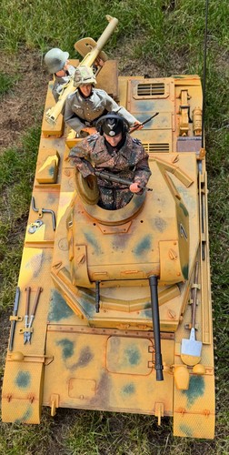 Scale dragon models - rc,