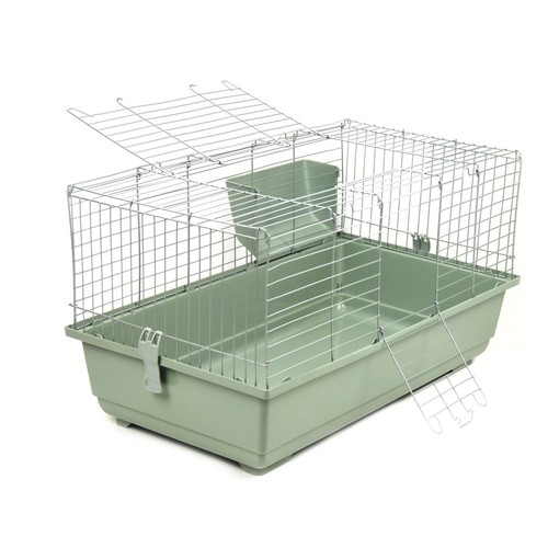 Rabbit guinea pig - rabbit, large