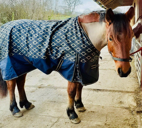 1200d lightweight turnout - lightweight, rug