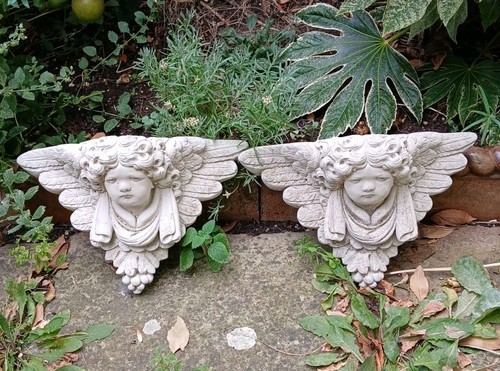 Pair vintage cherub - of, wing
