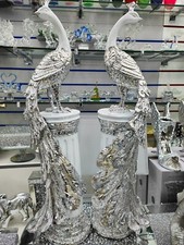 Italian White Silver Peacock