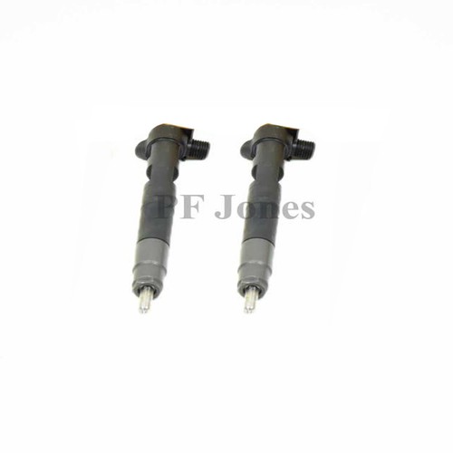Reman delphi injector - delphi,