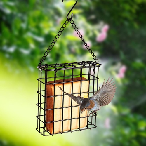 Bird suet cake - bird, garden