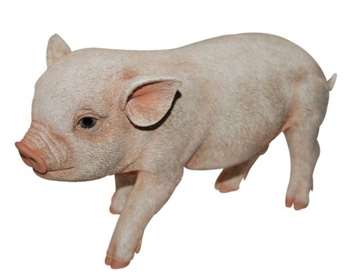 Micro pig piglet lifelike - pig,