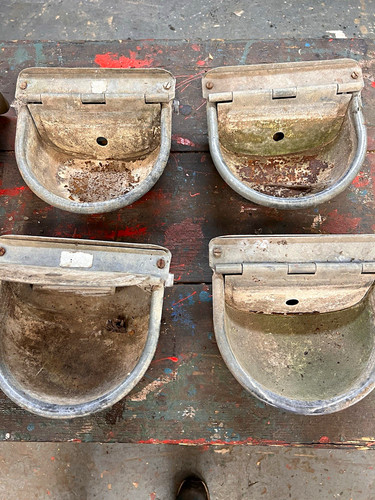 Vintage galvanised cattle - 8,