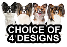 Papillon Self Adhesive Dog