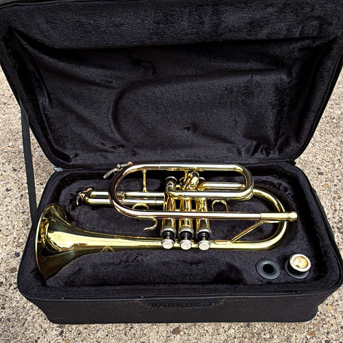Artemis cornet gold - artemis, lacquer