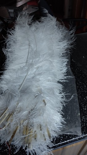 150 large white ostrich - white,