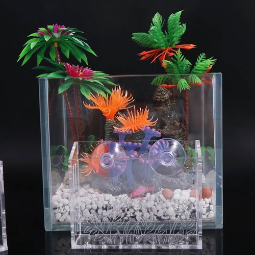 Wall hanging aquarium - wall, plants