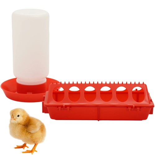 Automatic chicken feeder - automatic,