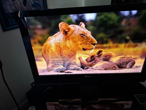 Pioneer pdp 427xd plasma - 42",