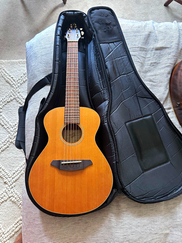 Breedlove atlas series - breedlove,