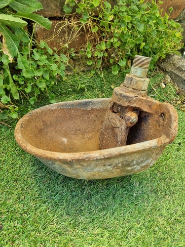 Cast ali water bowl cattle - ali,