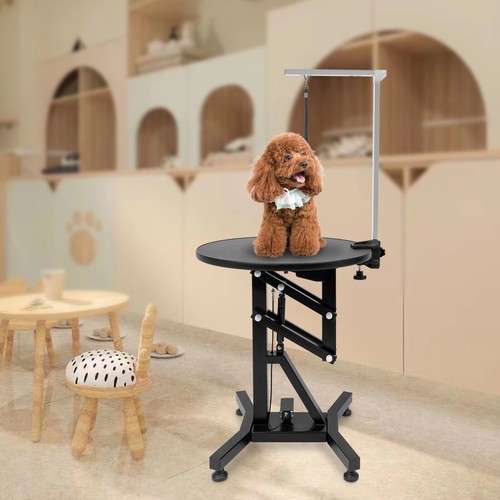 Hydraulic lift pet grooming - pet,