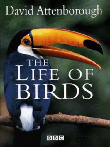 The life birds - birds,