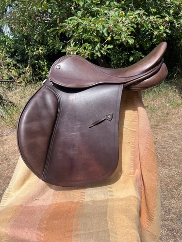 Saddle jeffries falcon - jeffries, adler
