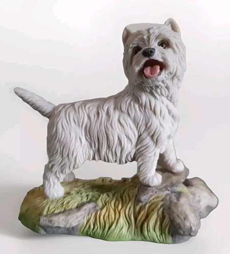 West highland terrier - highland,