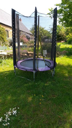 Plum children trampoline - plum,