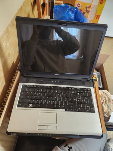 Vintage toshiba satellite - ,