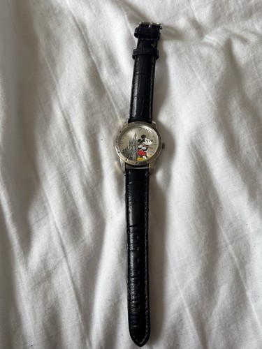 Vintage disney parks mickey - vintage,