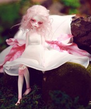 BJD Doll 1/8 19.5cm Girl iris