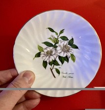 Vintage Royal Kendal Fine Bone