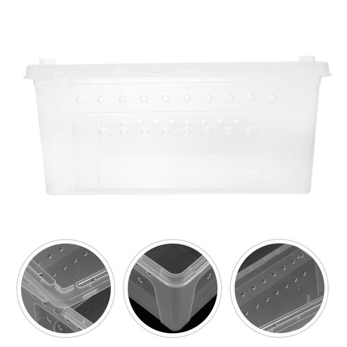 Insect rearing box reptiles - rearing,