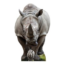 Young Rhino Lifesize Cardboard