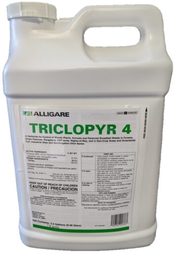 Triclopyr herbicide weed - triclopyr, herbicide/weed