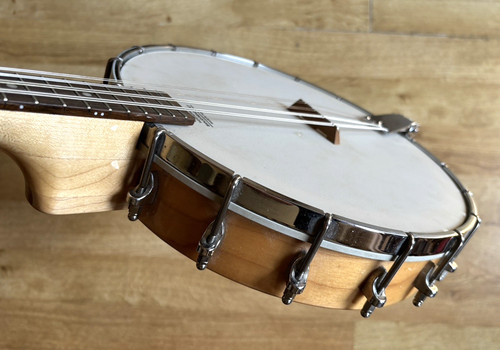 Ashbury banjolin banjo - ashbury, or