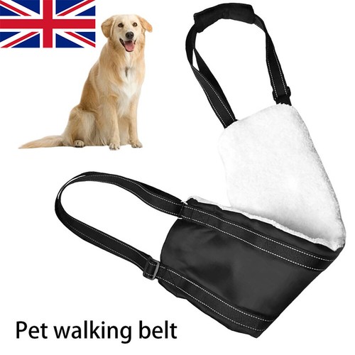 Large dog mobility aids - dog,