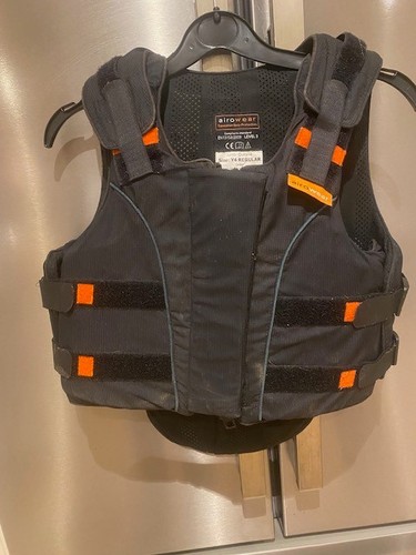 Level back protector horse - back,