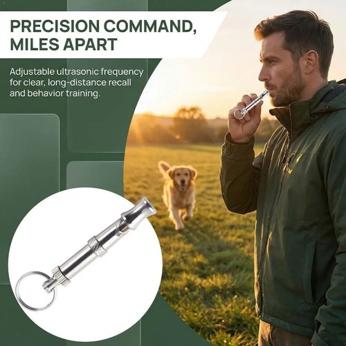 Dog whistle trainer - dog, recall