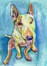 English Bull Terrier Art Print