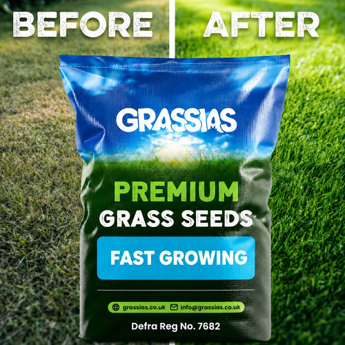 Fast growing grass - growing, |