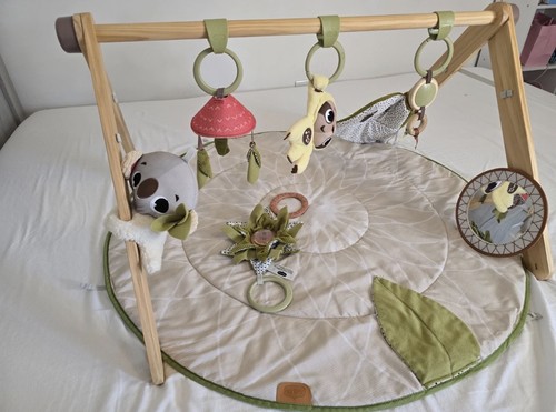 Tiny love luxe developmental - love,