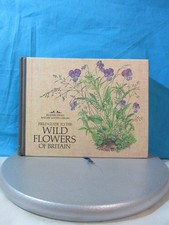 Field Guide To The Wild