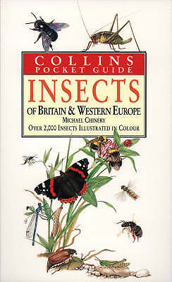 Chinery michael collins - :,