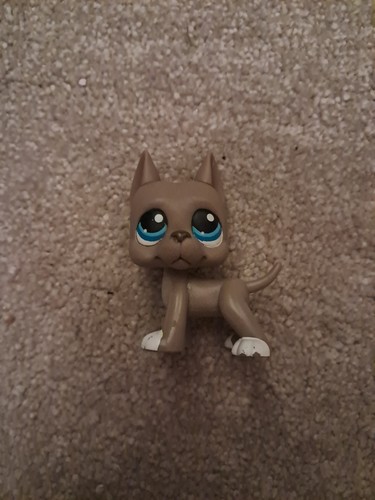 Littlest pet shop great - pet,
