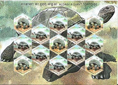 India 2008 giant aldabra - india,